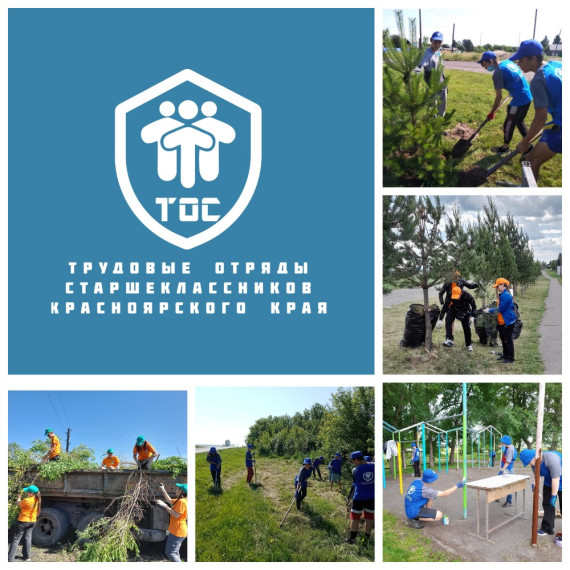 Трудовые отряды старшеклассников. Трудовые отряды старшеклассников.